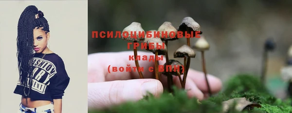 бошки Ветлуга