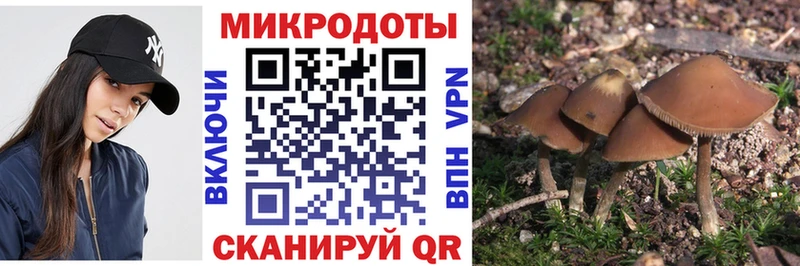купить наркотики сайты  Новомичуринск  гидра вход  Псилоцибиновые грибы MAGIC MUSHROOMS 